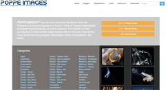 Desktop Screenshot of poppe-images.com